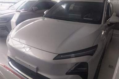 Used Wuling Xingguang S 2024 130km Flagship Version
