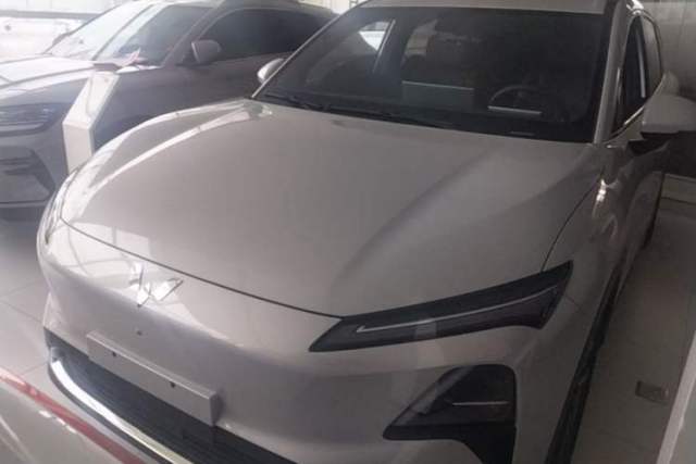 Used Wuling Xingguang S 2024 130km Flagship Version
