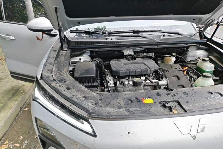 Used Wuling Xingguang S 2024 130 km Flagship Version Engine Bay Right