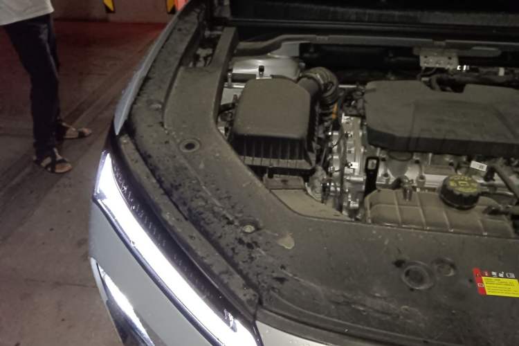 Used Wuling Xingguang S 2024 130 km Flagship Version Engine Bay Right