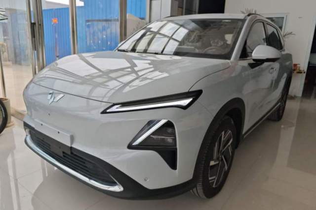 Used Wuling Xingguang S 2024 130km Flagship Version