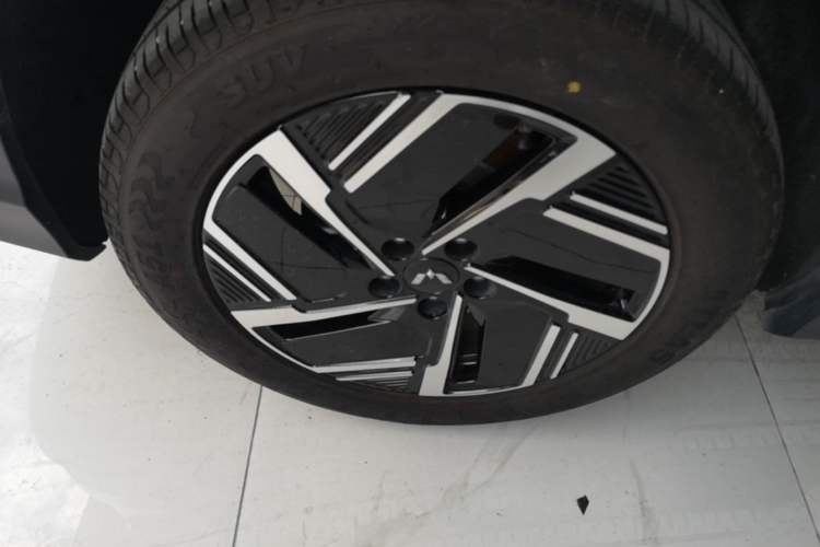 Used Wuling Xingguang S 2024 510 km Flagship Version Exterior 5