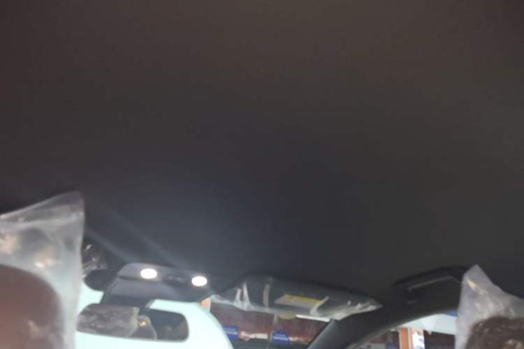 Used Wuling Xingguang S 2024 130km Flagship Version Headliner