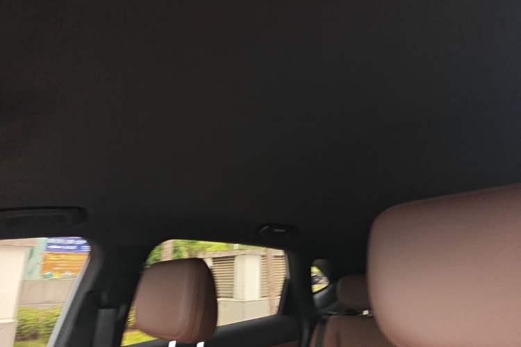 Used Wuling Xingguang S 2024 510km Flagship Edition Headliner