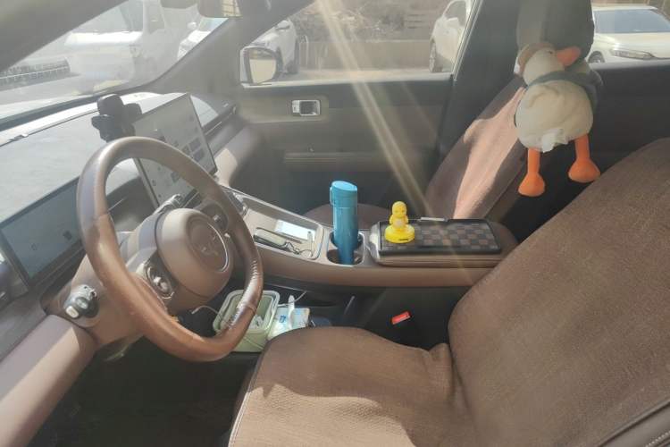 Used Wuling Xingguang S 2024 130 km Flagship Version Left Front Seat