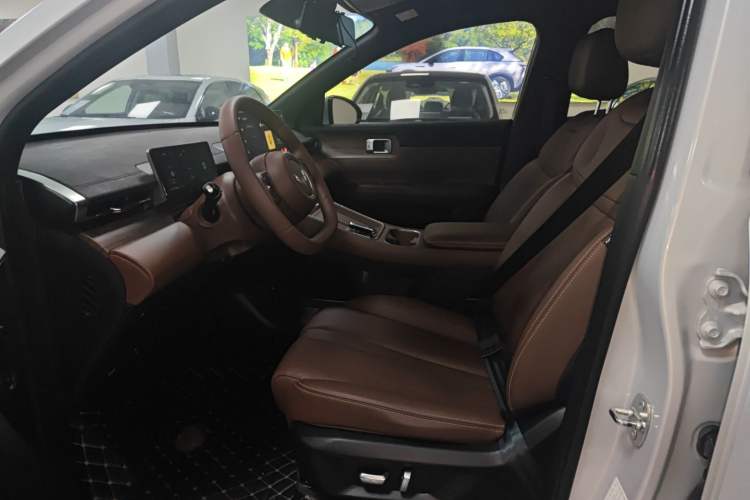 Used Wuling Xingguang S 2024 130 km Flagship Version Left Front Seat