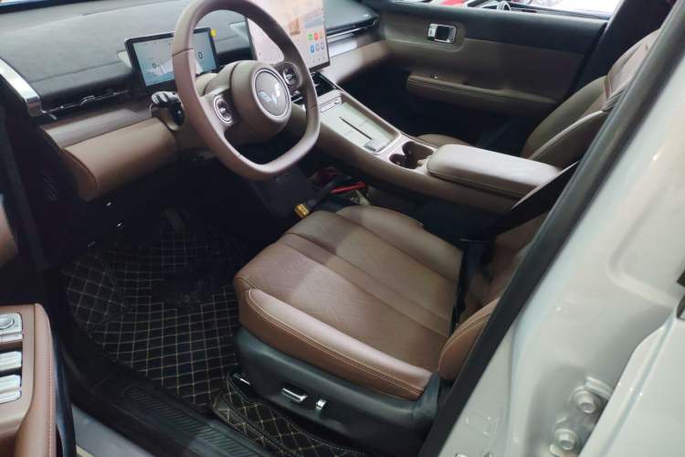 Used Wuling Xingguang S 2024 130km Flagship Version Left Front Seat
