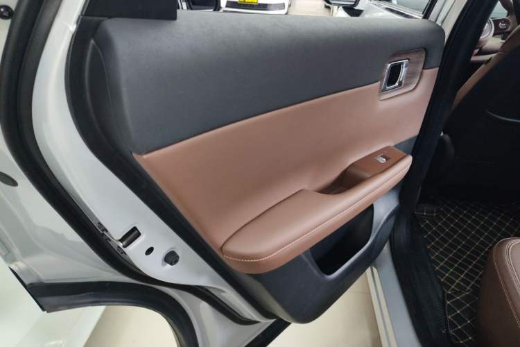 Used Wuling Xingguang S 2024 130km Flagship Version Left Rear Door Interior