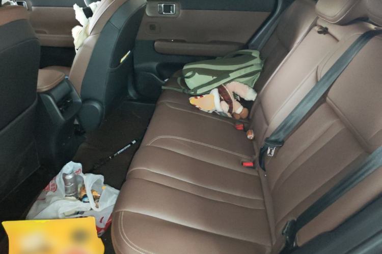 Used Wuling Xingguang S 2024 510 km Flagship Version Left Rear Seat