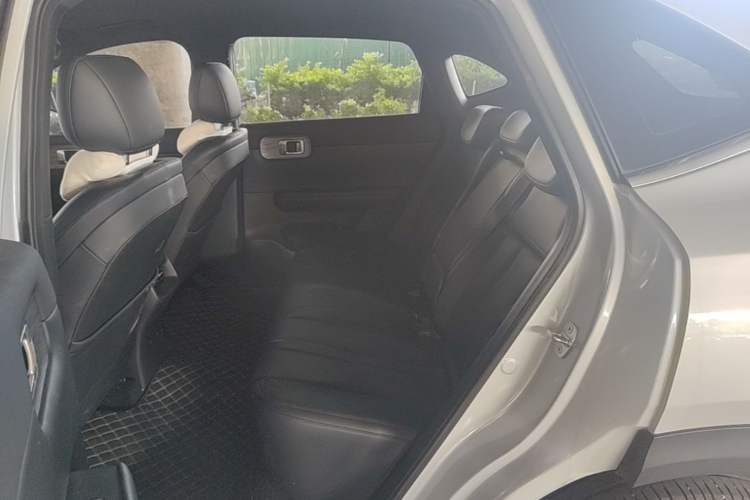 Used Wuling Xingguang S 2024 510km Flagship Edition Left Rear Seat