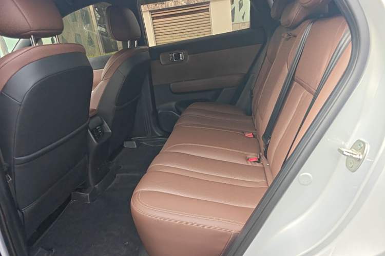 Used Wuling Xingguang S 2024 510km Flagship Edition Left Rear Seat