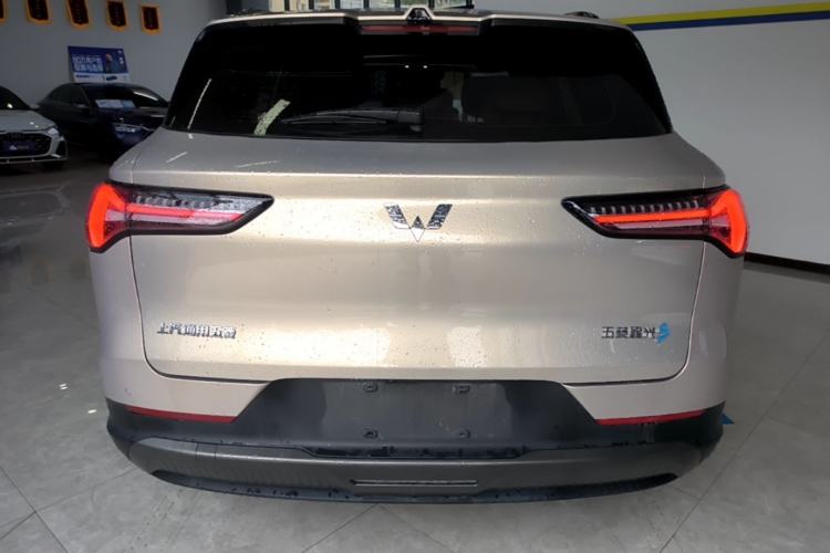 Used Wuling Xingguang S 2024 510 km Flagship Version Rear
