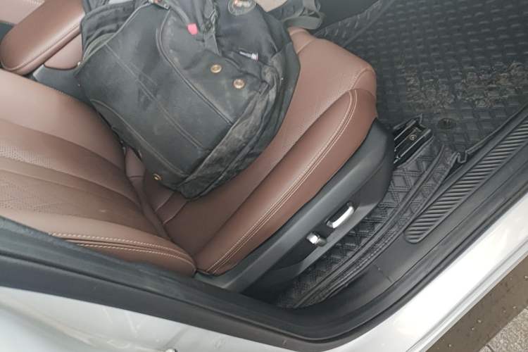 Used Wuling Xingguang S 2024 130 km Flagship Version Right Front Seat
