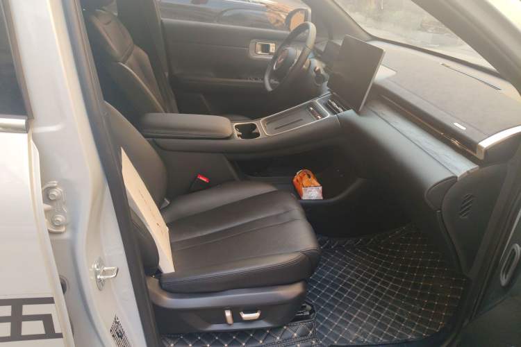 Used Wuling Xingguang S 2024 130 km Flagship Version Right Front Seat