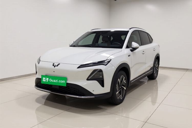 Wuling Xingguang S 2024 510 km Flagship Version