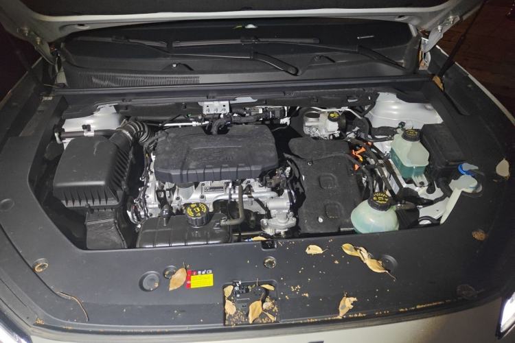 Used Wuling Xingguang S 2024 130 km Flagship Version Engine Bay