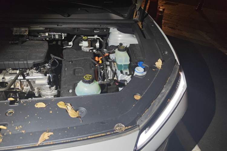 Used Wuling Xingguang S 2024 130 km Flagship Version Engine Bay Left