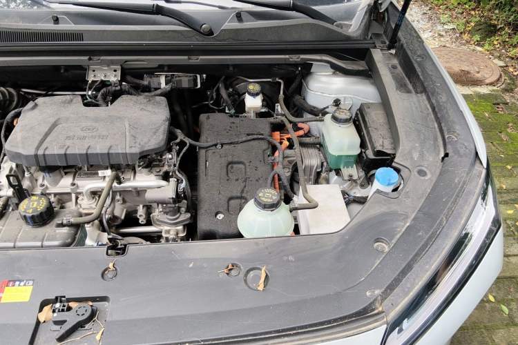 Used Wuling Xingguang S 2024 130km Flagship Version Engine Bay Left
