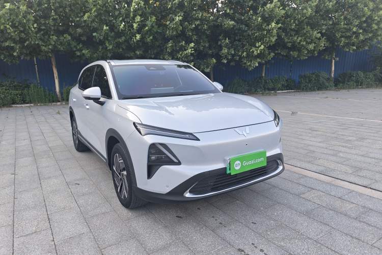 Used Wuling Xingguang S 2024 130 km Flagship Version Exterior 2