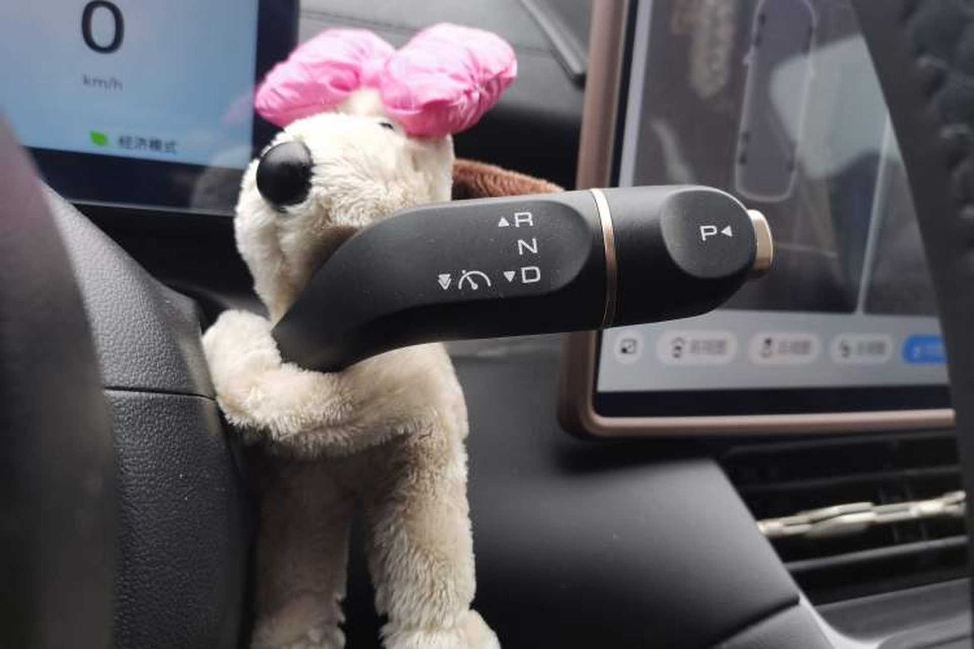 Used Wuling Xingguang S 2024 510km Flagship Edition Gear Lever