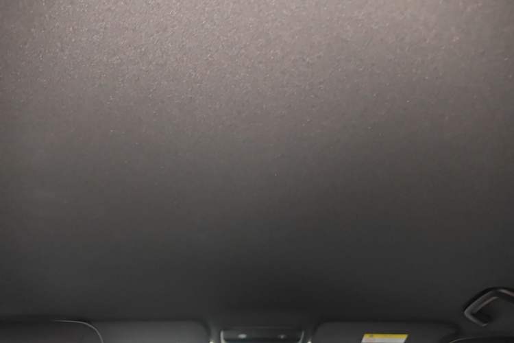 Used Wuling Xingguang S 2024 510km Flagship Edition Headliner
