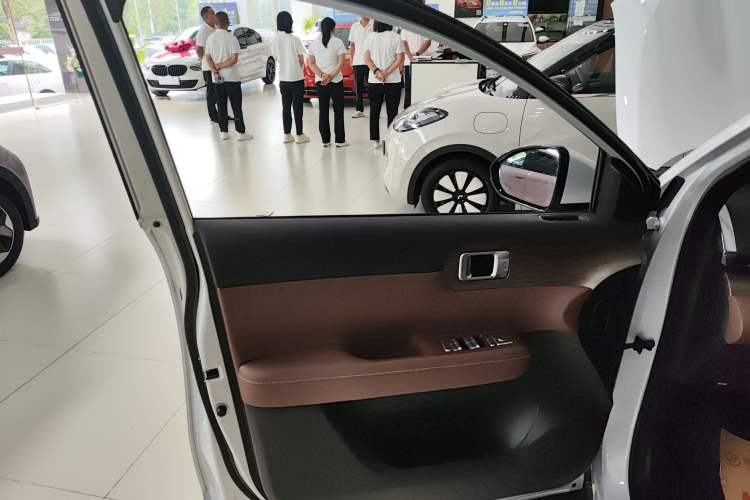 Used Wuling Xingguang S 2024 510 km Flagship Version Left Front Door Interior