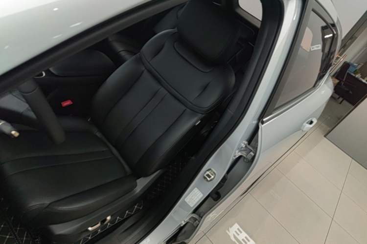 Used Wuling Xingguang S 2024 130 km Flagship Version Left Front Seat