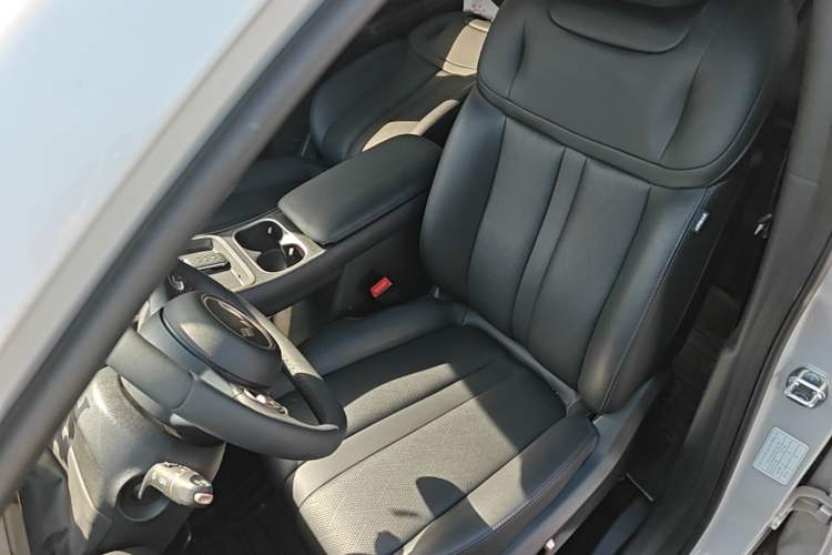 Used Wuling Xingguang S 2024 130km Flagship Version Left Front Seat