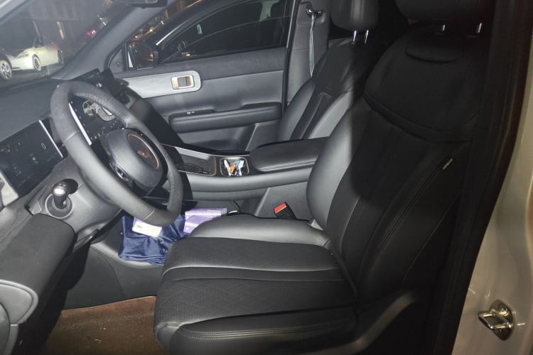 Used Wuling Xingguang S 2024 130 km Flagship Version Left Front Seat