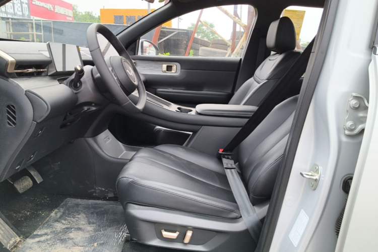 Used Wuling Xingguang S 2024 130 km Flagship Version Left Front Seat