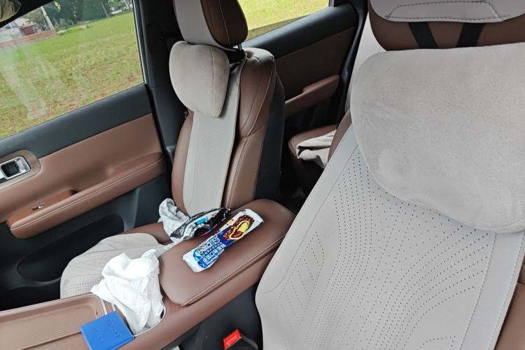 Used Wuling Xingguang S 2024 130km Flagship Version Left Front Seat