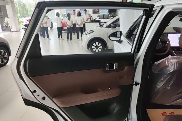 Used Wuling Xingguang S 2024 510 km Flagship Version Left Rear Door Interior