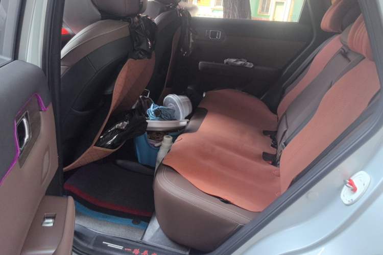 Used Wuling Xingguang S 2024 510 km Flagship Version Left Rear Seat