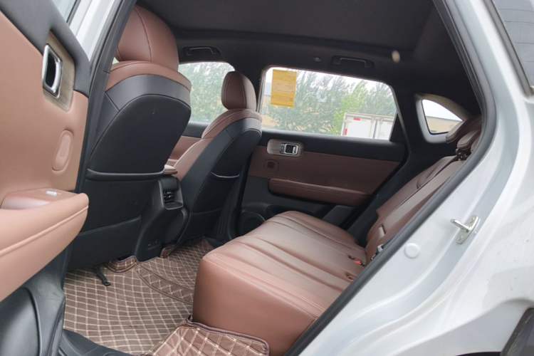 Used Wuling Xingguang S 2024 130 km Flagship Version Left Rear Seat