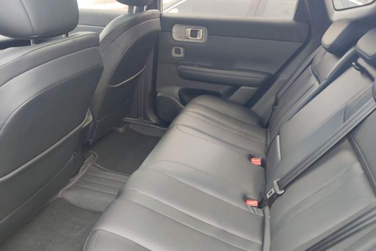 Used Wuling Xingguang S 2024 510 km Flagship Version Left Rear Seat