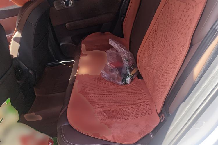 Used Wuling Xingguang S 2024 60km Advanced Version Left Rear Seat