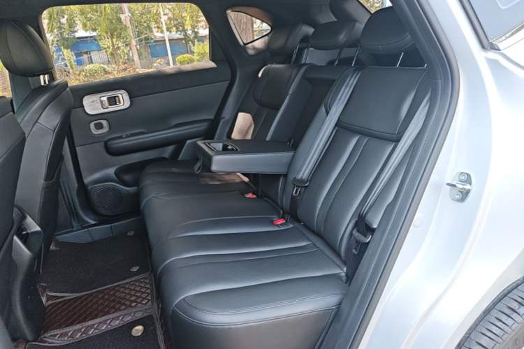 Used Wuling Xingguang S 2024 130 km Flagship Version Left Rear Seat