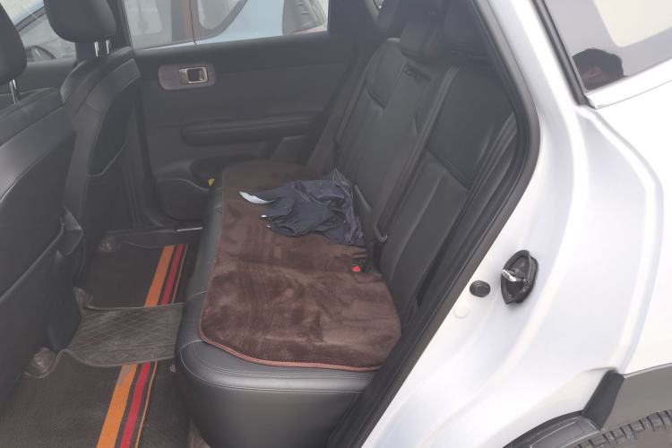 Used Wuling Xingguang S 2024 510km Flagship Edition Left Rear Seat