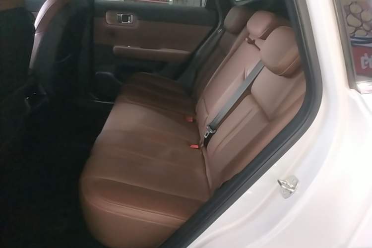 Used Wuling Xingguang S 2024 130 km Flagship Version Left Rear Seat