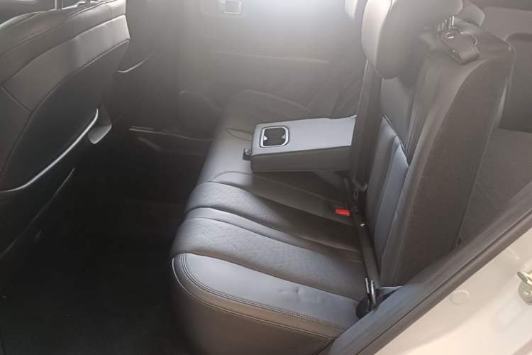 Used Wuling Xingguang S 2024 510 km Flagship Version Left Rear Seat