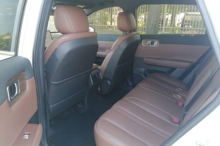 Used Wuling Xingguang S 2024 60km Advanced Version Left Rear Seat