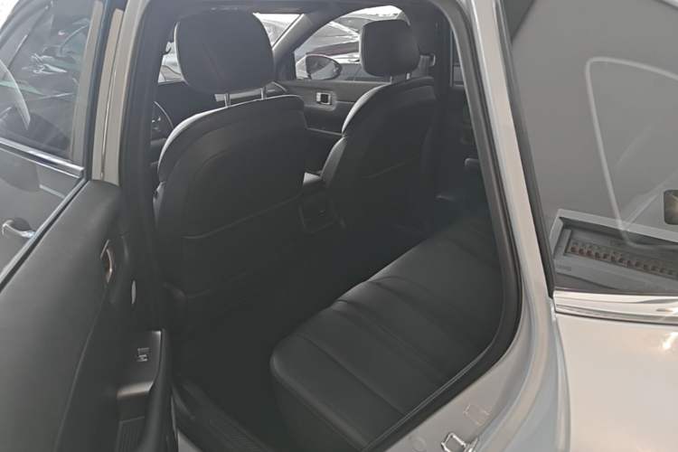 Used Wuling Xingguang S 2024 130 km Flagship Version Left Rear Seat
