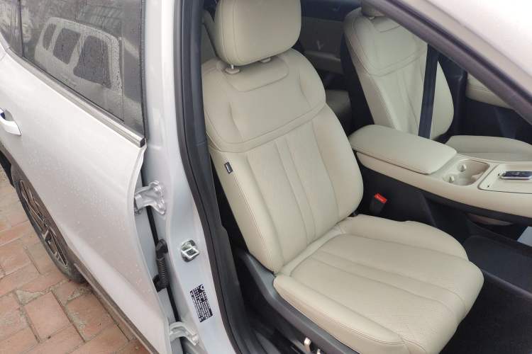 Used Wuling Xingguang S 2024 510 km Flagship Version Right Front Seat