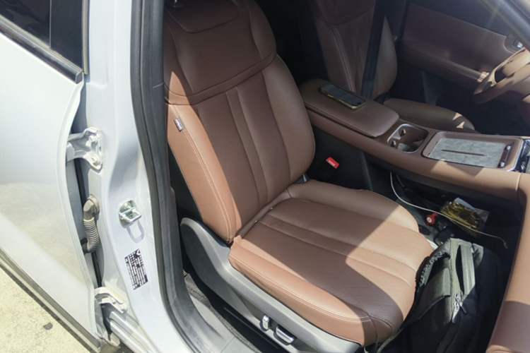 Used Wuling Xingguang S 2024 510 km Flagship Version Right Front Seat
