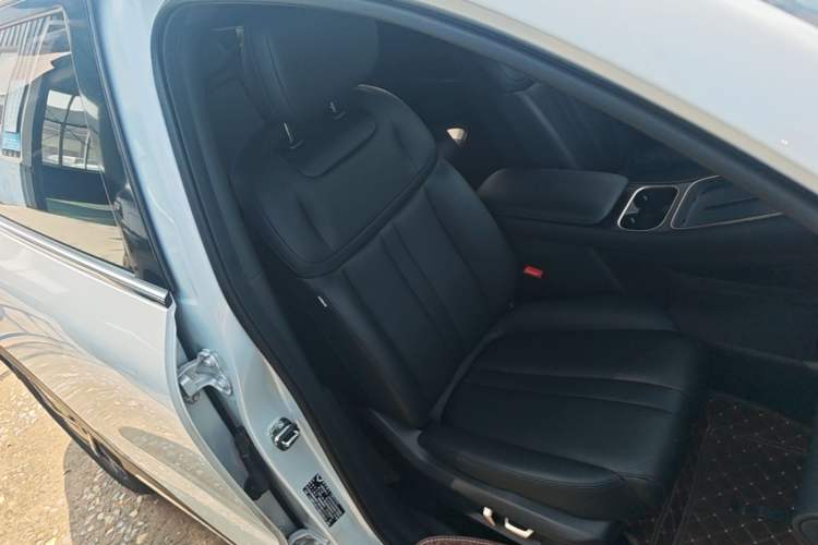 Used Wuling Xingguang S 2024 510 km Flagship Version Right Front Seat