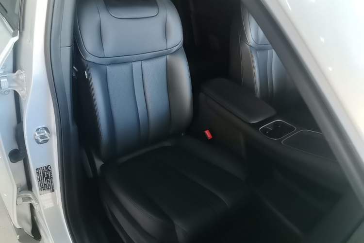 Used Wuling Xingguang S 2024 130km Flagship Version Right Front Seat