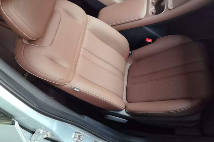 Used Wuling Xingguang S 2024 130km Flagship Version Right Front Seat