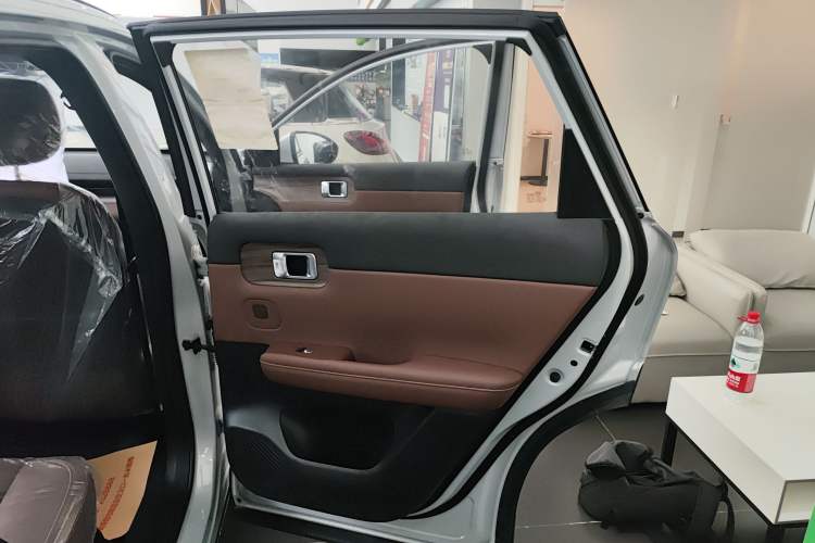 Used Wuling Xingguang S 2024 510 km Flagship Version Right Rear Door Interior