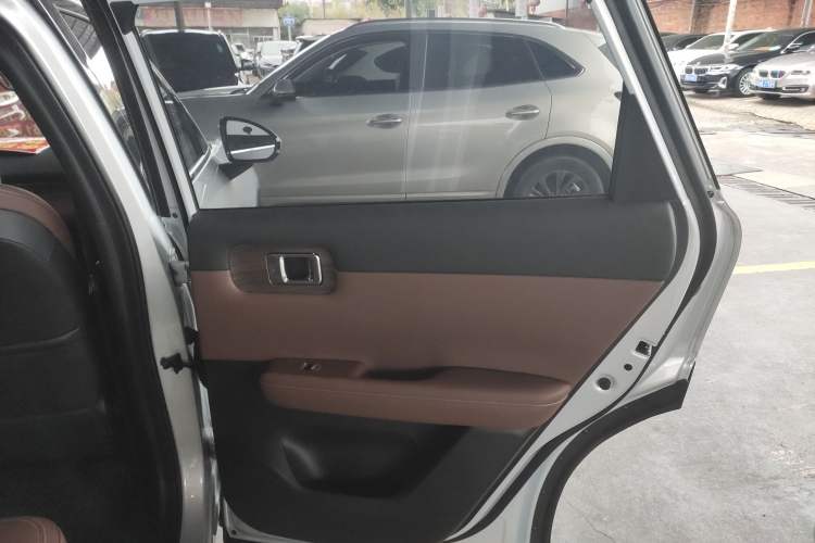Used Wuling Xingguang S 2024 130km Flagship Version Right Rear Door Interior