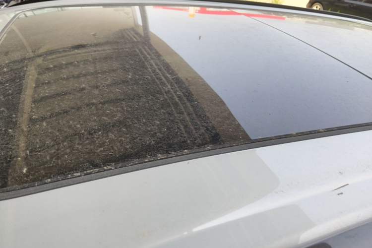Used Wuling Xingguang S 2024 130 km Flagship Version Roof